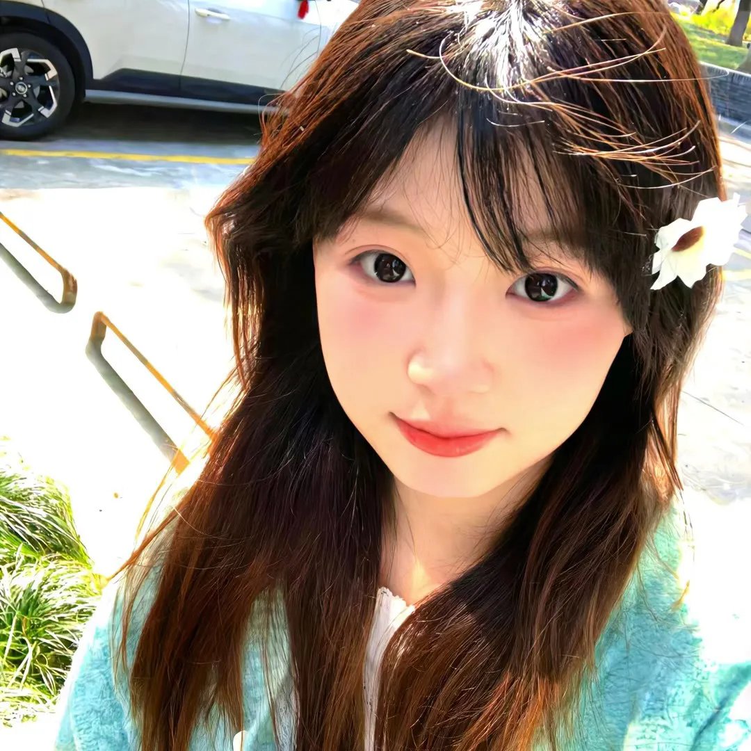 囧妈的极地任务
